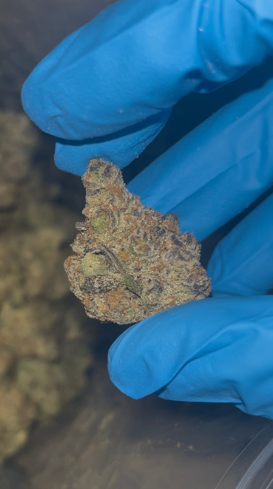 Jealousy THCA flower